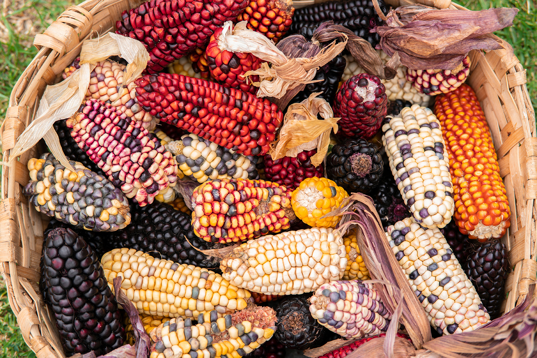 Shawnee Indians Eat Leaders Push To Uncover Truth About Shawnee Indian